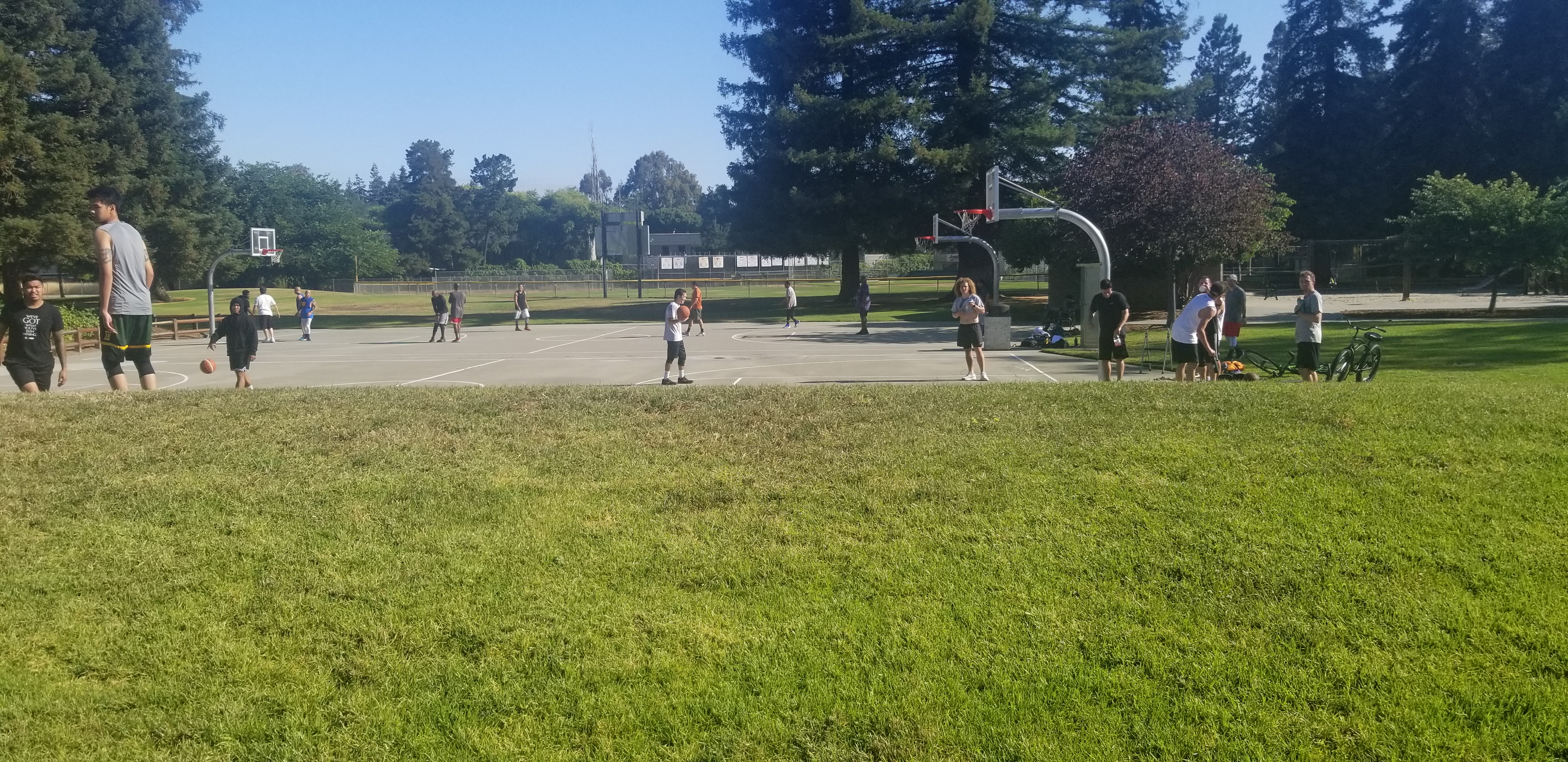 Covidiots in Silicon Valley
